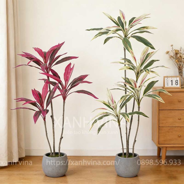 cây phú quý giả trang trí